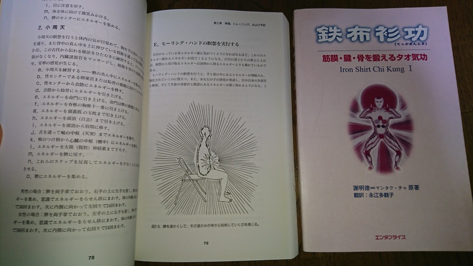 気内臓療法 ☆ 謝 明徳 =マンタクチャ= 著 ☆ ヒーリングタオ ☆ 新品